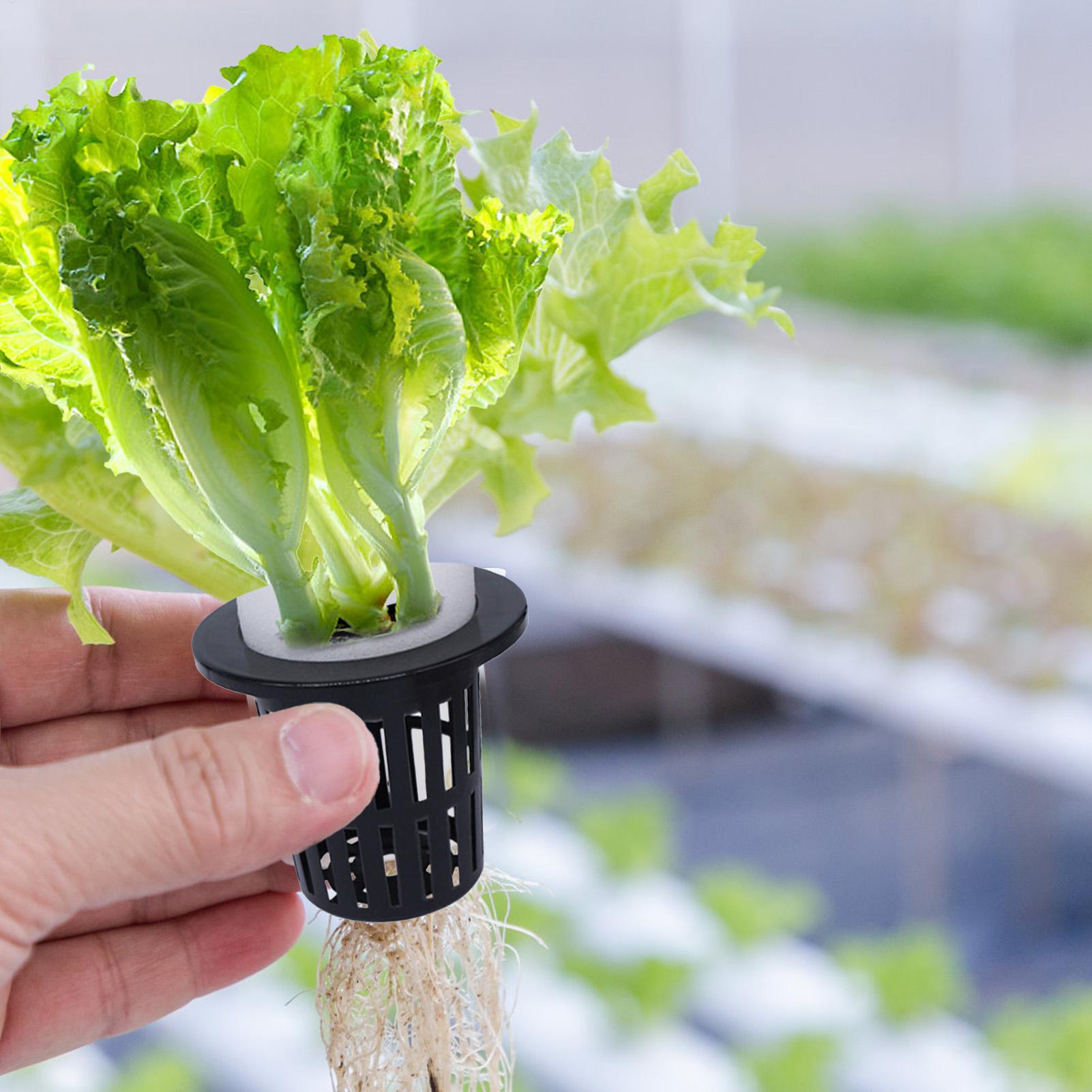 Net Pots For Hydroponics Hydro - Urban Farming Hydroponics のレビューと価格