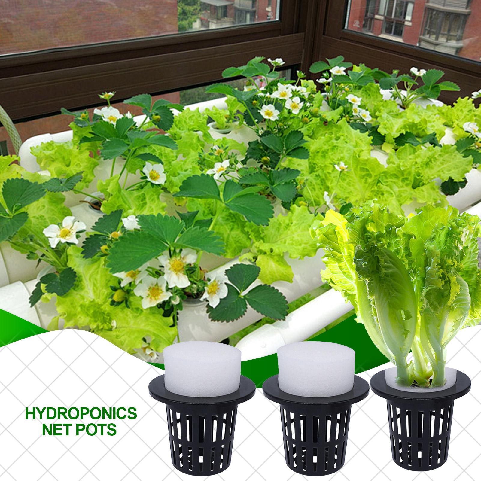 Net Pots For Hydroponics Hydro - Urban Farming Hydroponics のレビューと価格